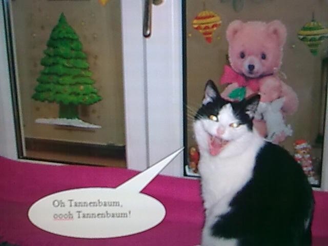 mein weihnachtsengerl