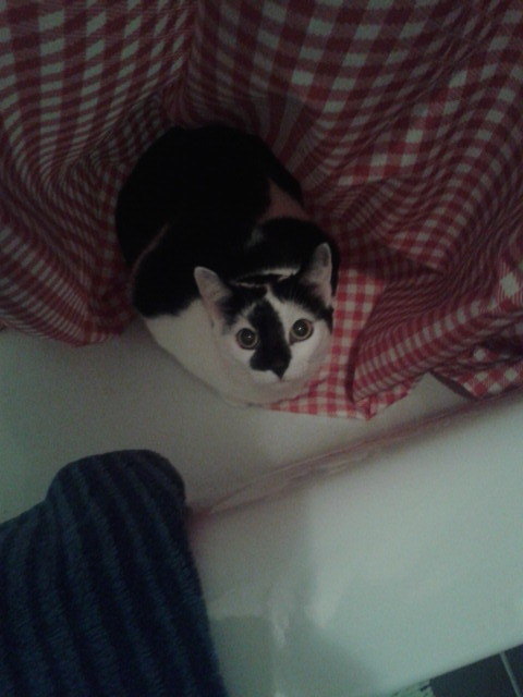 Ich will auch mit in die Badewanne!