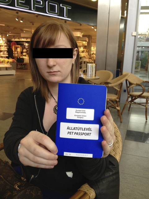 Der EU-Pass sollte die Gesundheit des Welpen bestätigen. - Fehlanzeige!