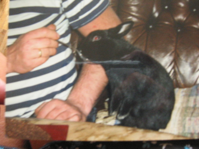 Oskar möchte überall mitessen