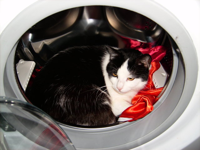 mein neuer schlafplatz