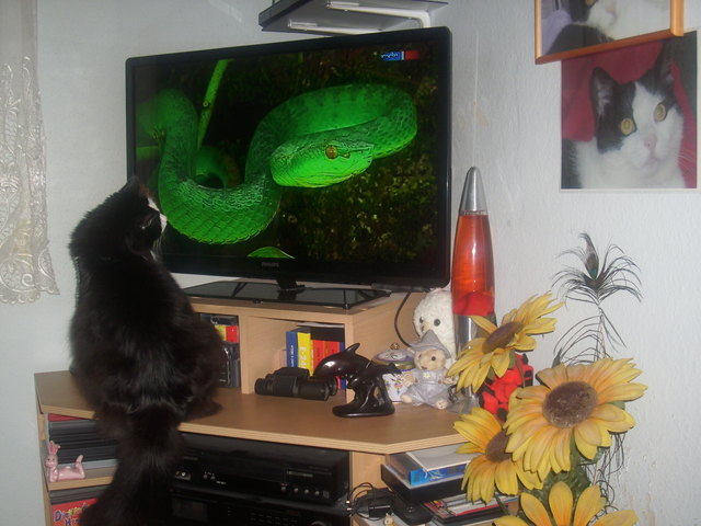 oh oh schnell weg da