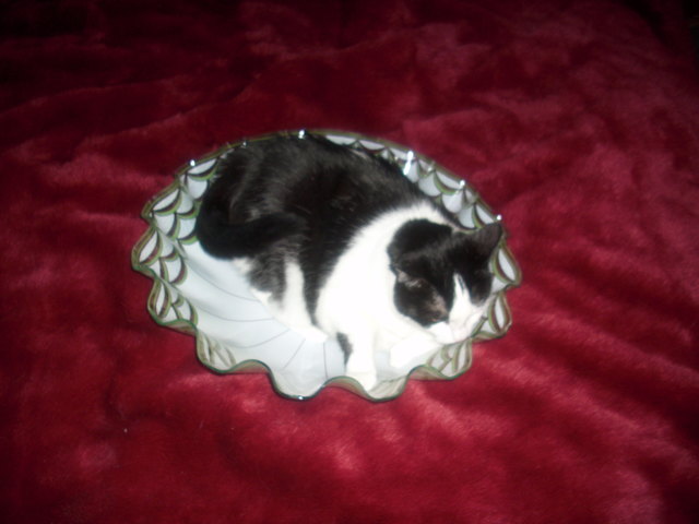 probelegen im lampenschirm