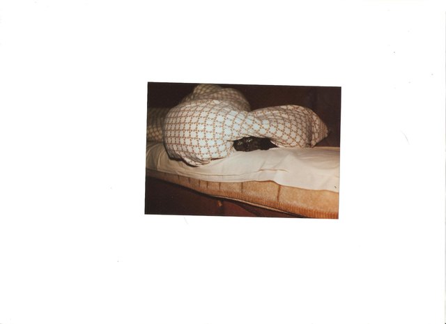 die 16jährige Sheila auf ihrem Lieblingsplätzchen unter Frauerls Tuchent