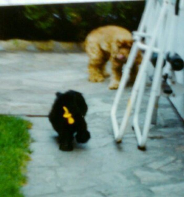 Benjamin der kleine Teufel als Baby