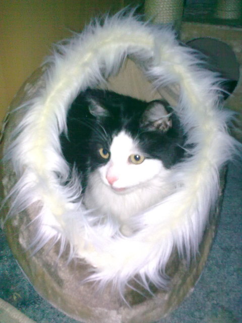 mein geburtstagsgeschenk