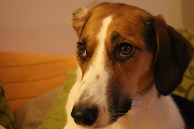 unsere griechische Schönheit. (: