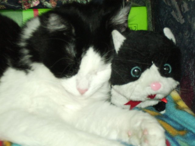 meine stille partnerin