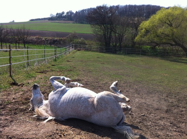 SCHMUZIG machen juhu :-)
