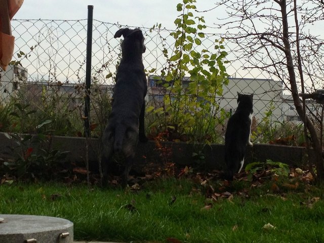 Die besten Freunde ;)