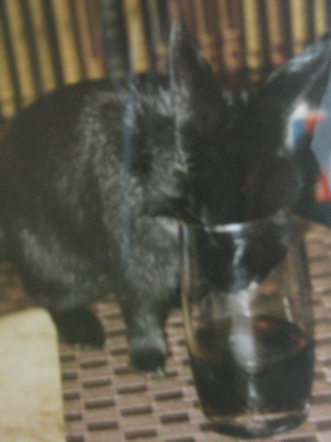 mitessen und mittrinken - Oskar will alles