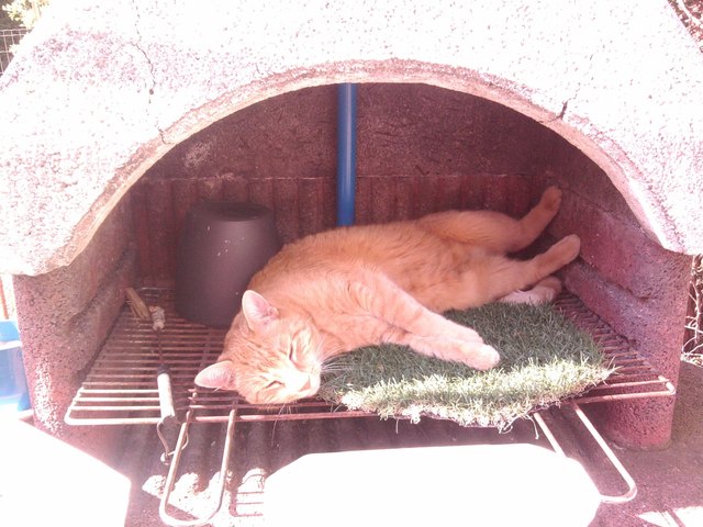 Heute wird nicht gegrillt