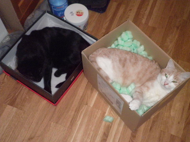 Schachtelschläfchen......