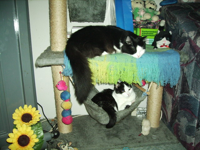 doppelt hält besser