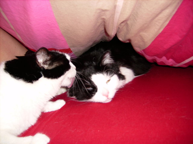 es donnert,schnell verstecken