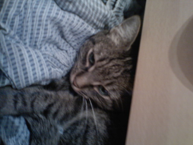 in der lade verstecken