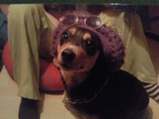 meine kleine Laus namens Jacky