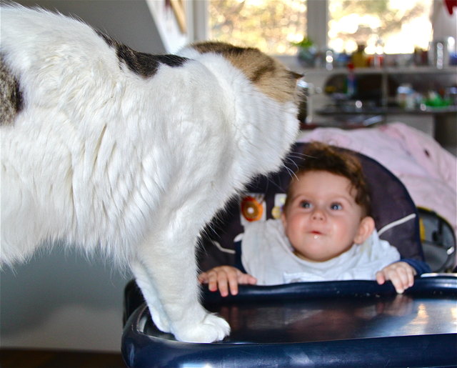 So eine große Katze! Luise und Nils