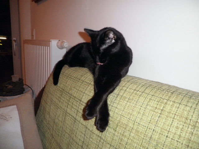 heute bin ich eine diva