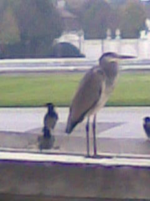 schnappschuss im belvedere