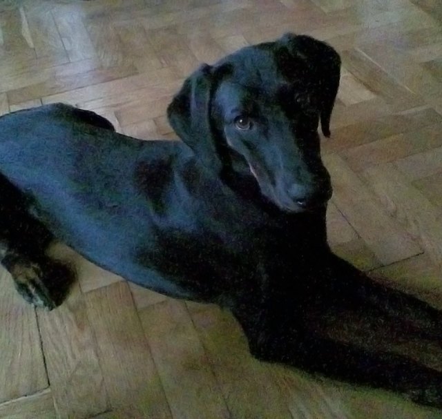 ...stillhalten und lääächeln