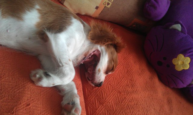 ach bin ich müüüddee