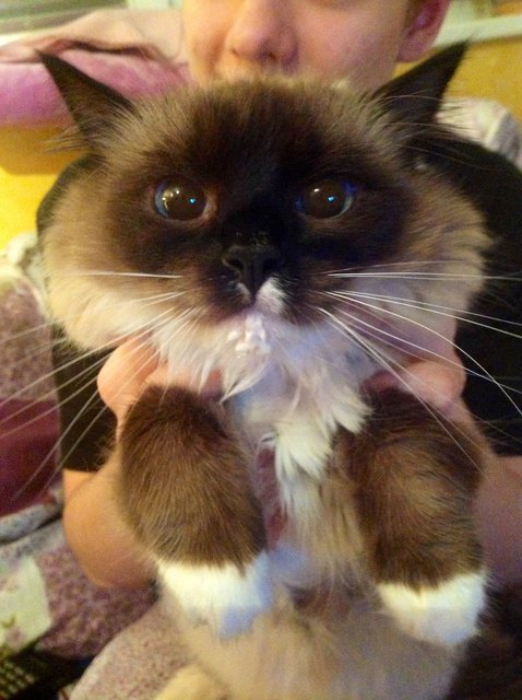 Meine Murzelina mit Schaumbart :)