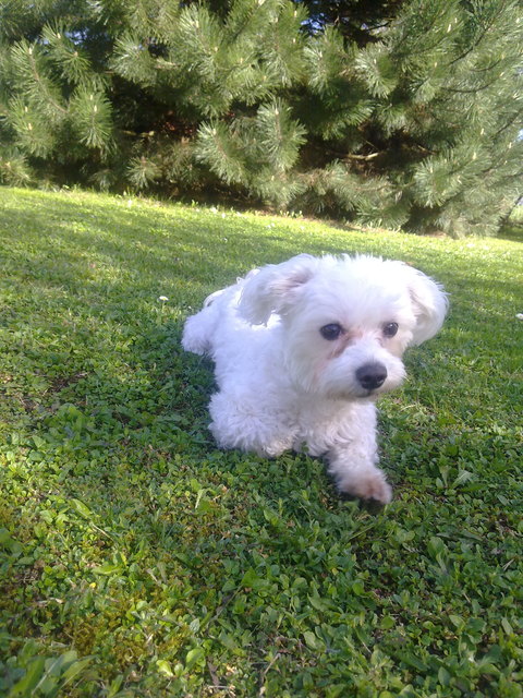 Mein Baby genießt die ersten Sonnenstrahlen