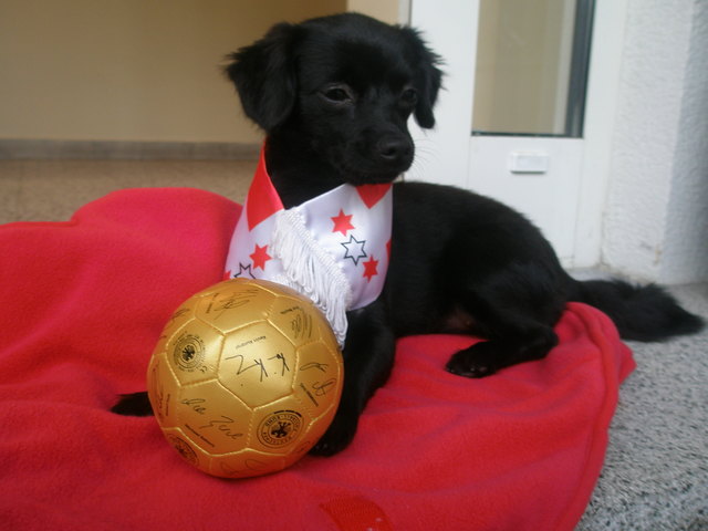 Shila, die Fußballdame ;)