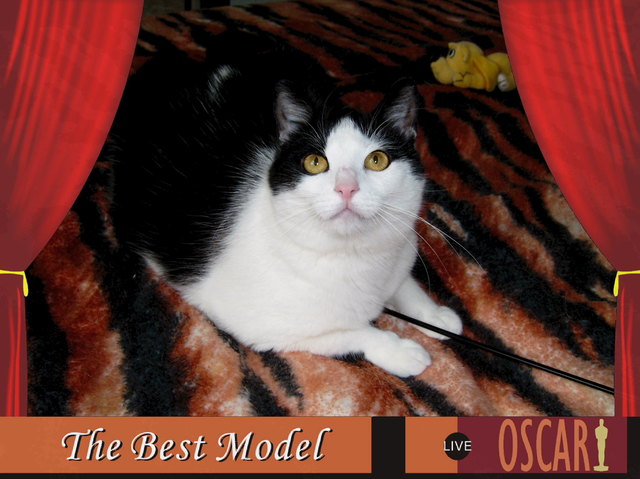 the best modell-siiicher