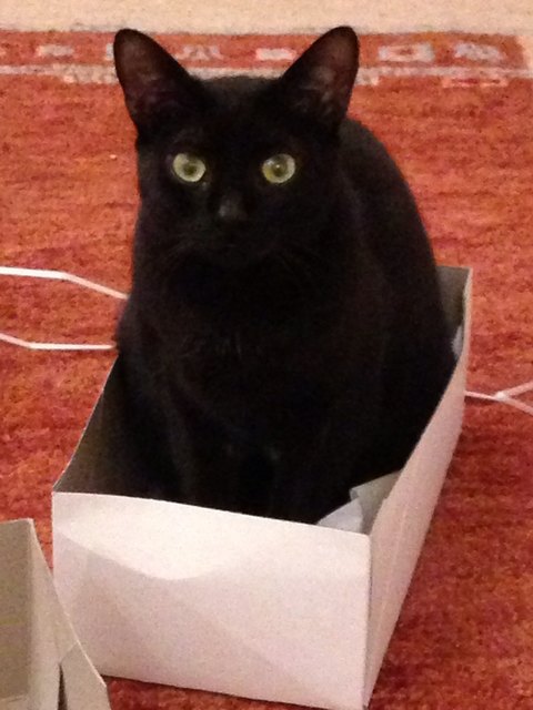 Die kleinste Schachtel ist immer groß genug