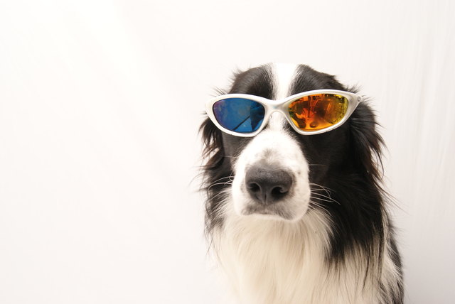 Wo bleibt die Sonne?