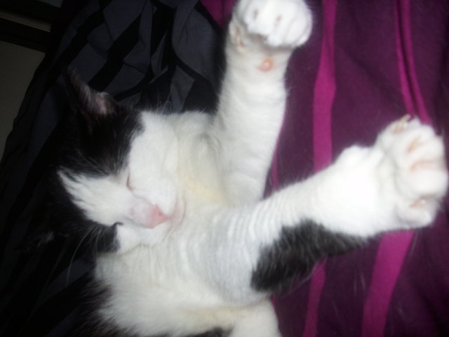 ich fühl mich sooo wohl