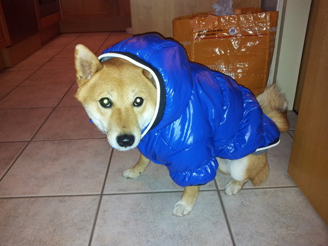 Unser süßer Jasonbub