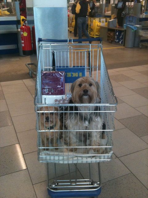 Claudia Jueptner-Jonstorff