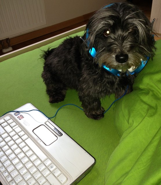 Hi.mein Name ist mishka