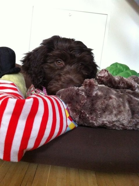 alles meine Spielsachen