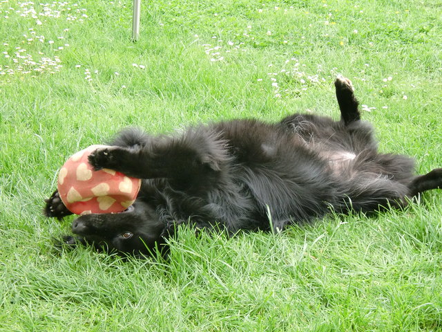 Ach,ist das Leben schön!!!!