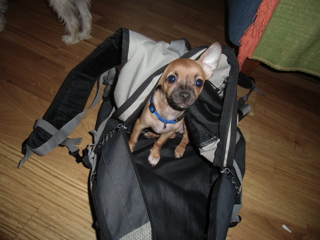 Da muss doch noch was drinnen sein - Jimmy