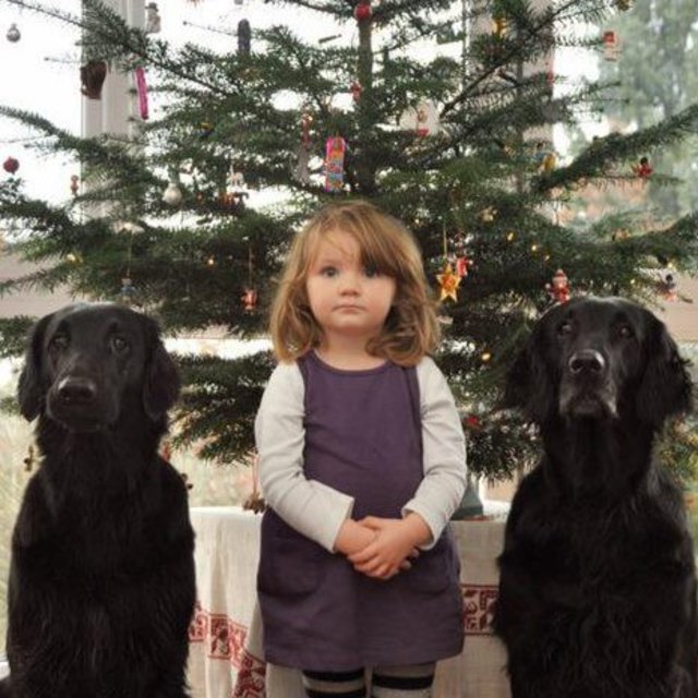 Offizielles Weihnachtsphoto 2012 von Prinzessin Lilith mit ihren Hofdamen Pixl und Zookie