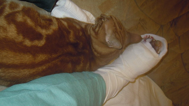 ...wird schon wieder, mit meiner Hilfe...