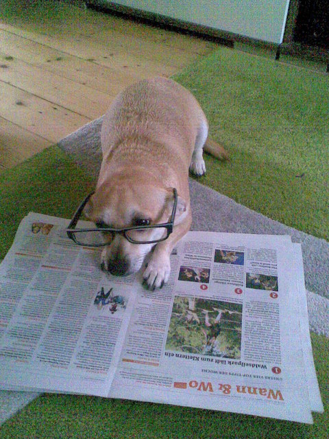 Bildung: meine kleine Leseratte liest gerne die BZ, den Wissen ist das A und O