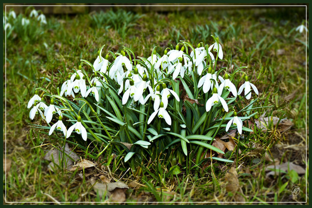 Dauert´s noch lange......?