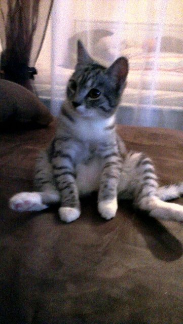 Asuna im Chillmodus!!! :-)