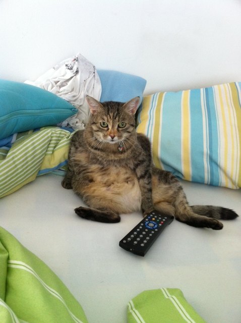 Ich such mir mein Fernsehprogramm selber aus!