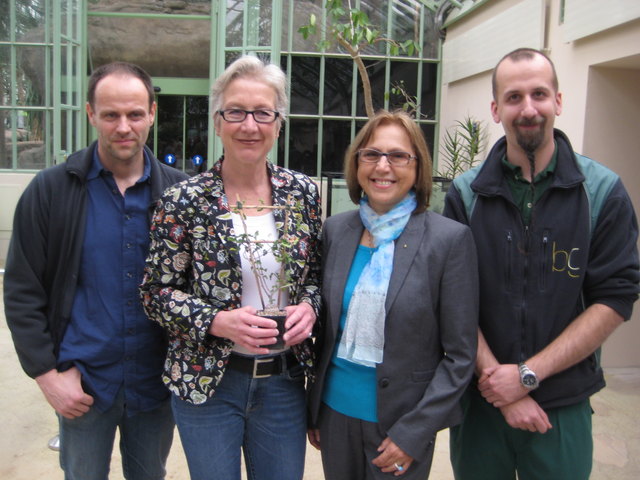 Anton Weissenbacher, Brigitte Mang, Dagmar Schratter und Manfred Edlinger freuen sich auf viele neue Besucher im Wüstenhaus (v.l.).