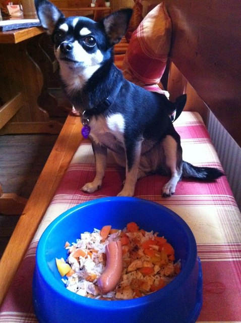 Restaurants mit Hundemenü sind der Hammer!!:)