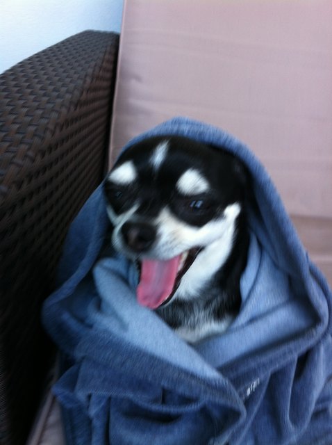 Die Macht sei mit dir!