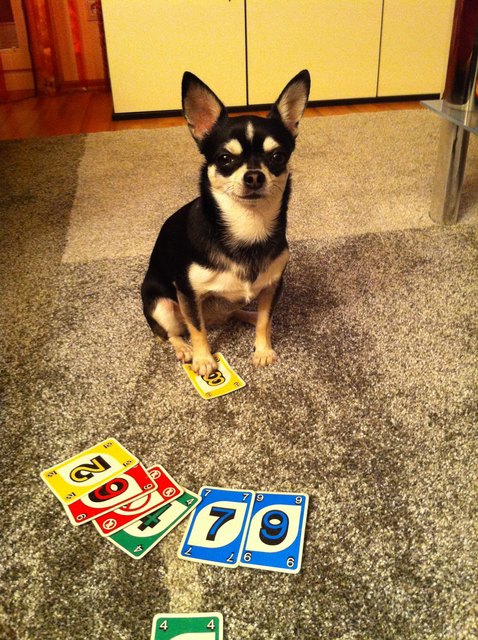 "UNO!!"