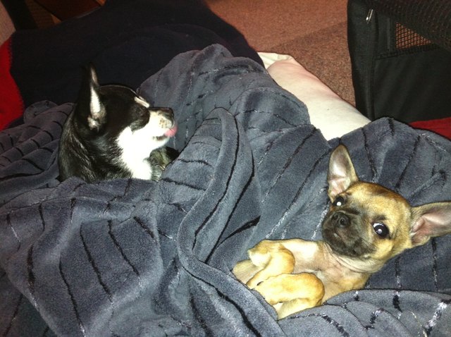 jeder auf seinem Platz, jetzt wird geschlafen!